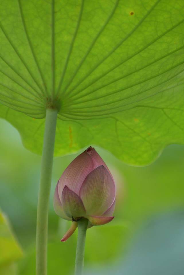 生活禪｜佛家的榮華富貴